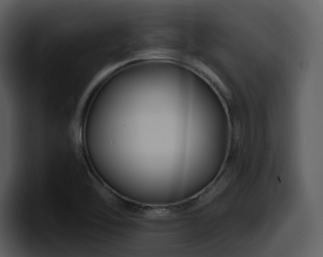 X0000100781462200806191252