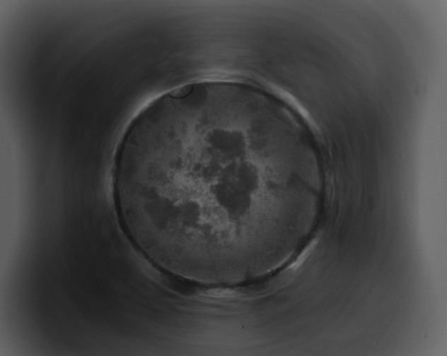 X0000100781463200806191252