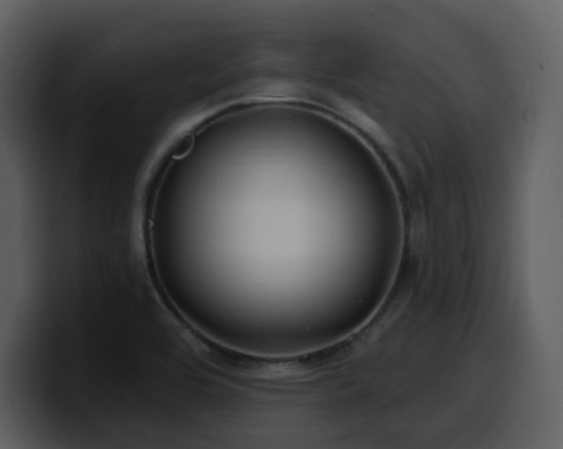 X0000100781464200806191252