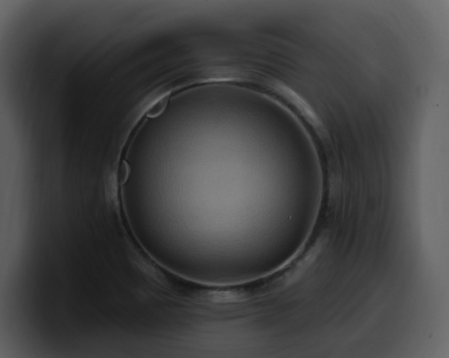 X0000100781465200806191252