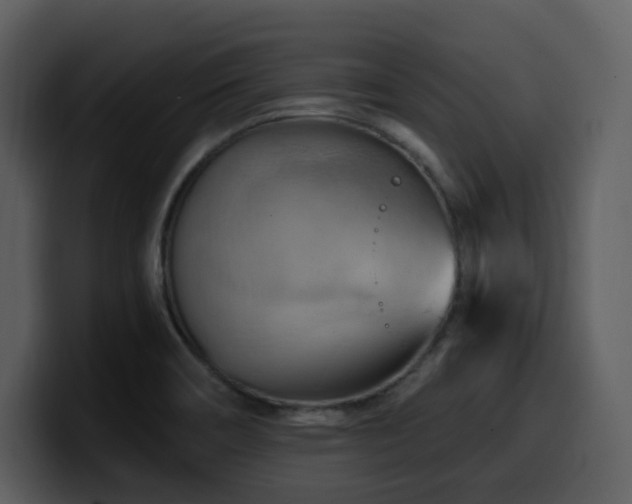 X0000100781466200806191252