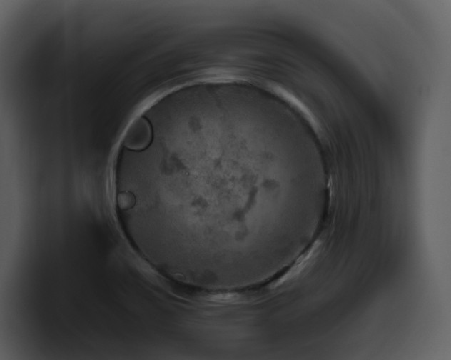 X0000100781467200806191252