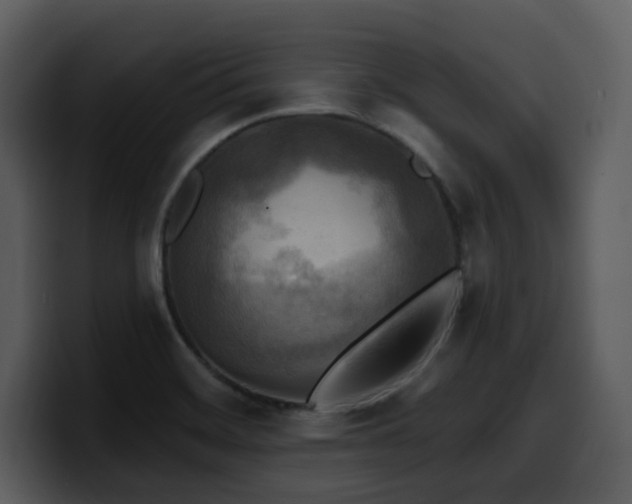 X0000100781468200806191252