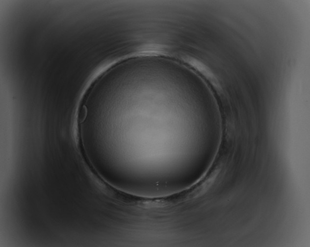 X0000100781469200806191252