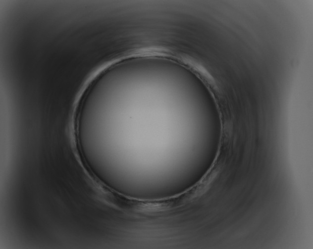 X0000100781470200806191252