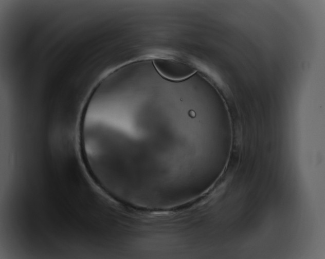 X0000100781471200806191252