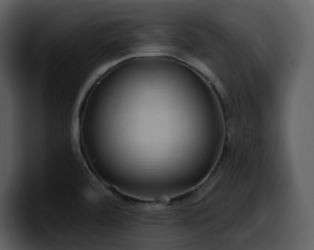 X0000100781472200806191252