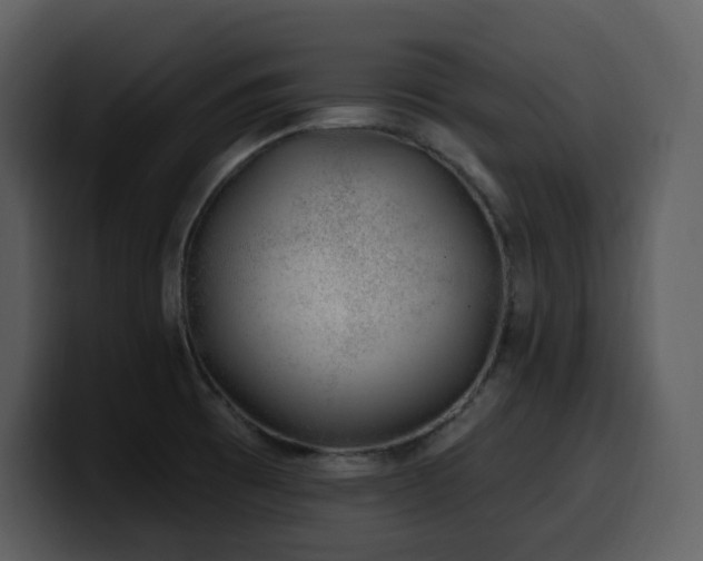 X0000100781473200806191252