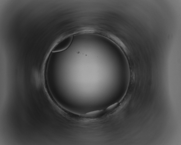 X0000100781475200806191252