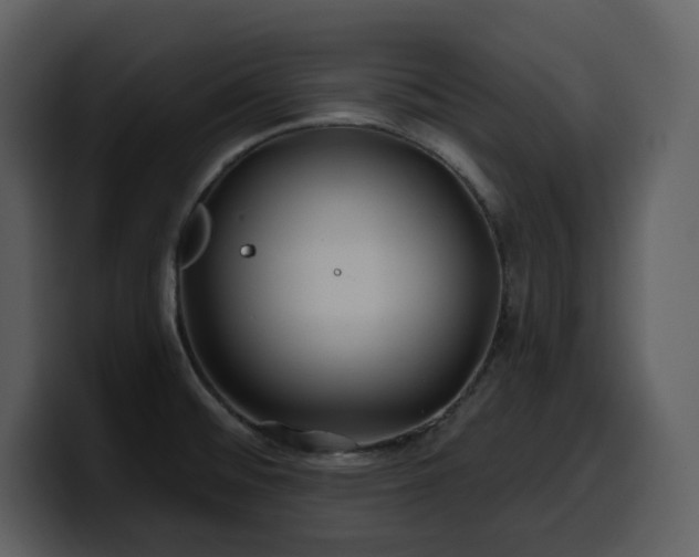 X0000100781476200806191252