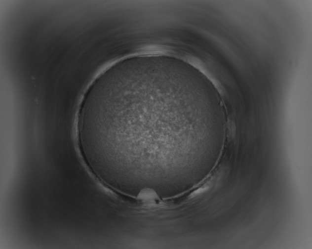 X0000100781477200806191252