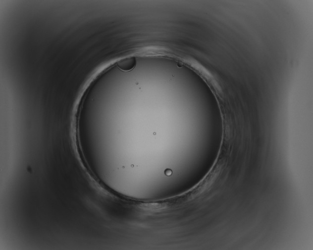 X0000100781478200806191252