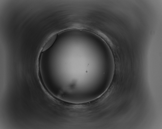 X0000100781479200806191252