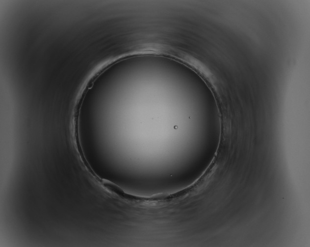 X0000100781480200806191252