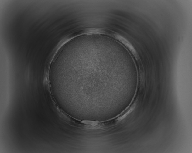 X0000100781481200806191252