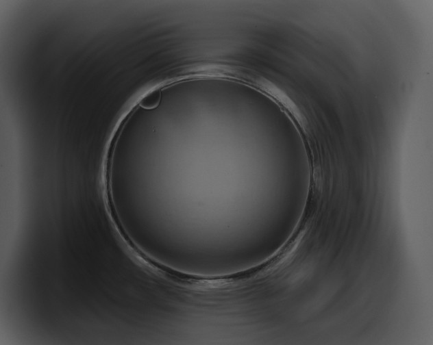 X0000100781482200806191252