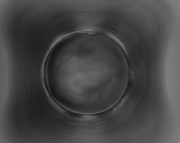 X0000100781483200806191252