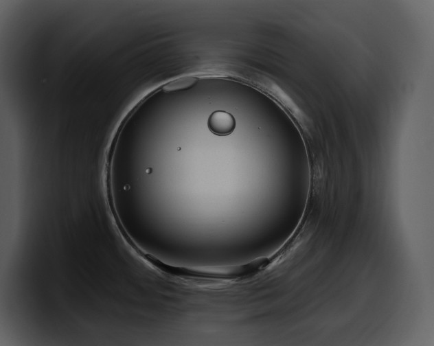 X0000100781484200806191252