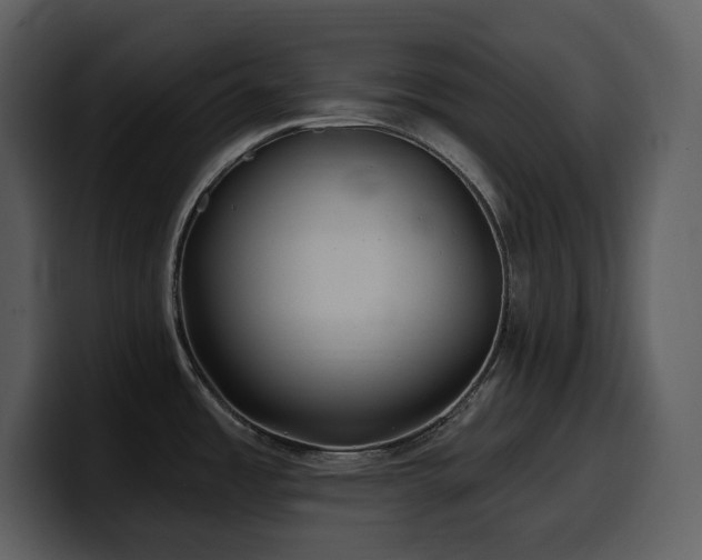 X0000100781485200806191252