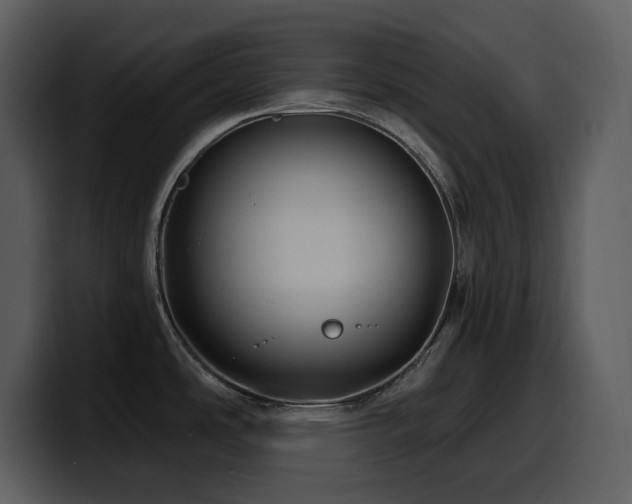 X0000100781486200806191252