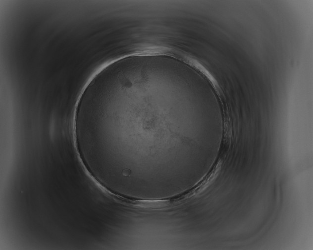 X0000100781487200806191252