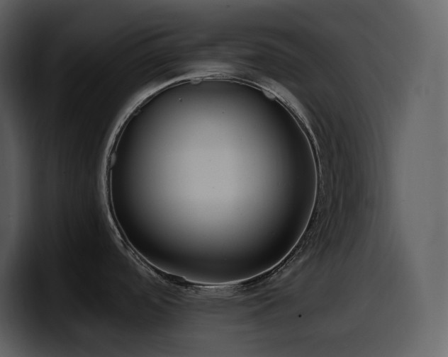 X0000100781488200806191252