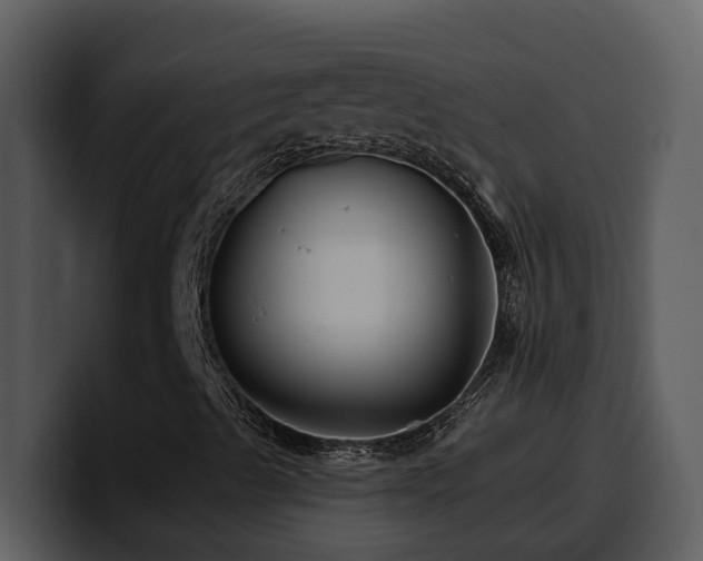 X0000100781489200806191251