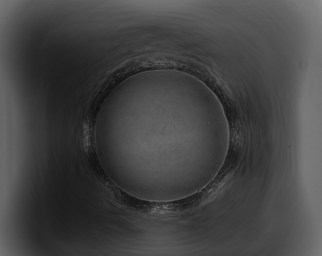 X0000100781490200806191251