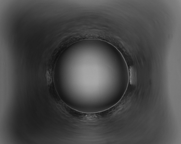 X0000100781491200806191251