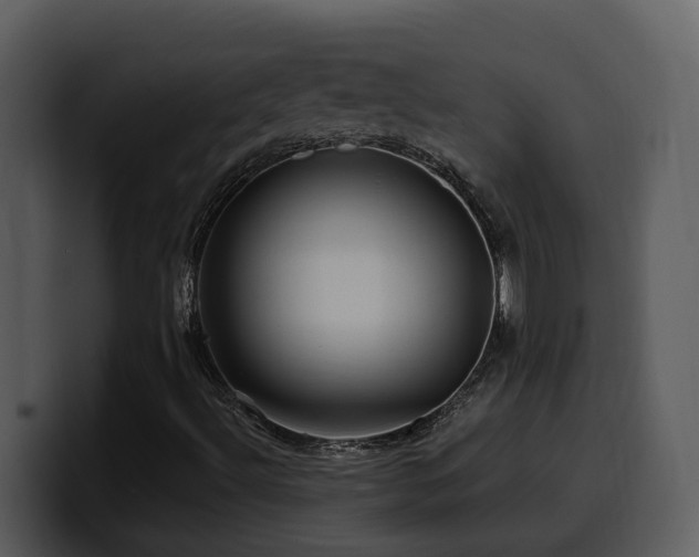 X0000100781492200806191251