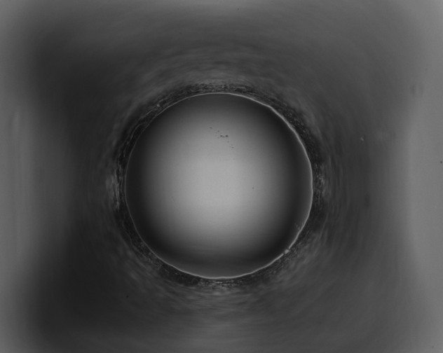 X0000100781493200806191251