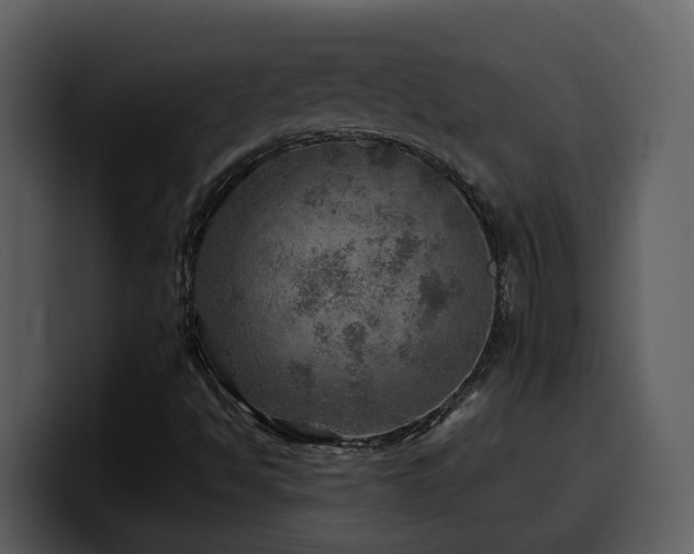 X0000100781494200806191251