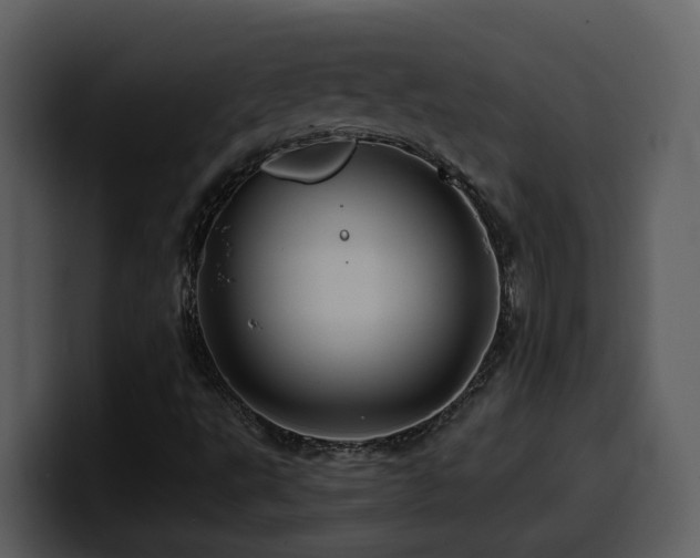 X0000100781495200806191251