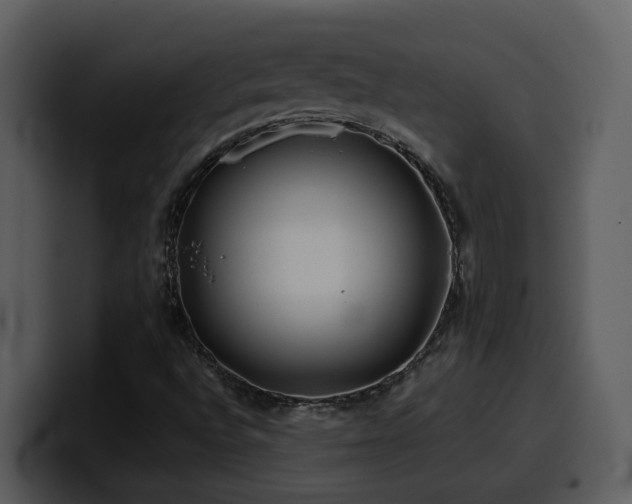 X0000100781496200806191251