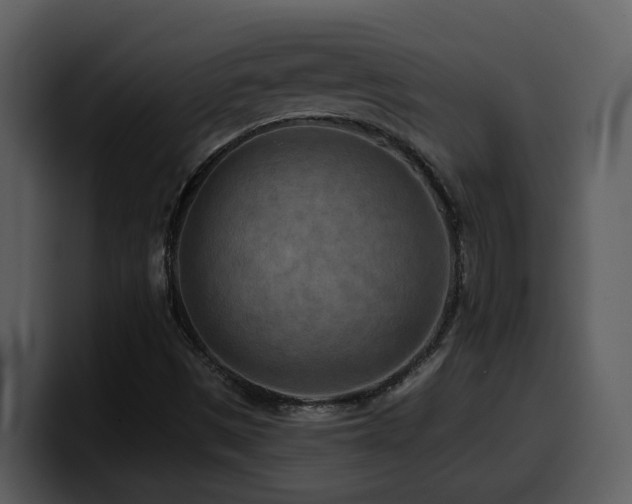 X0000100781497200806191251