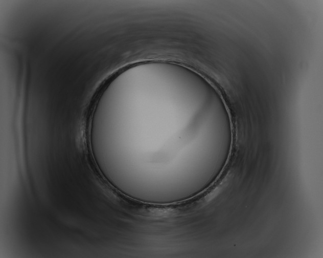 X0000100781498200806191251