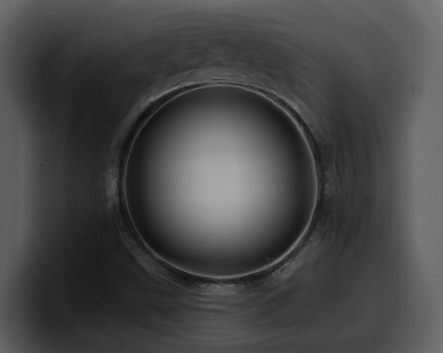 X0000100781499200806191251