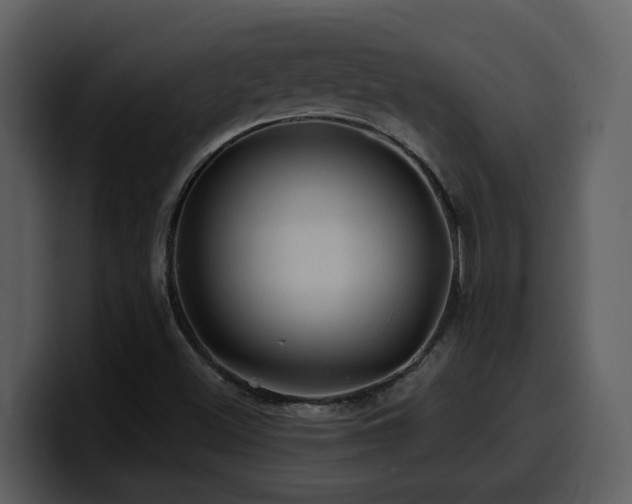 X0000100781500200806191251