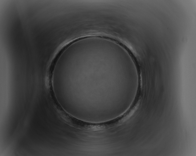 X0000100781501200806191251