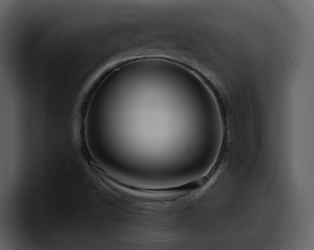 X0000100781502200806191251