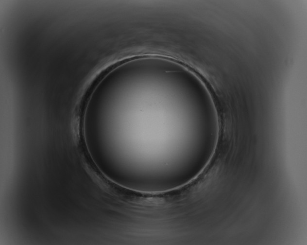 X0000100781503200806191251