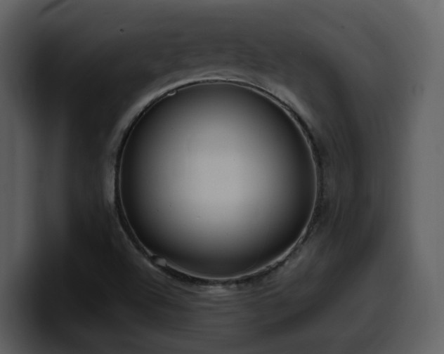 X0000100781504200806191251