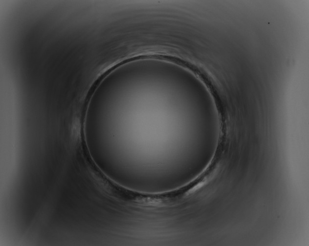 X0000100781505200806191251