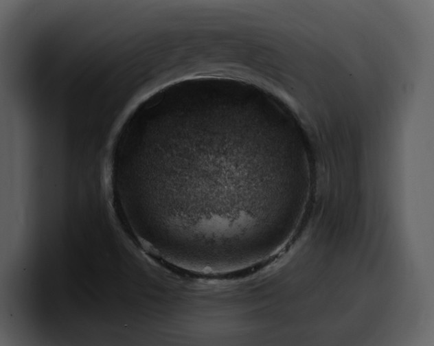 X0000100781506200806191251