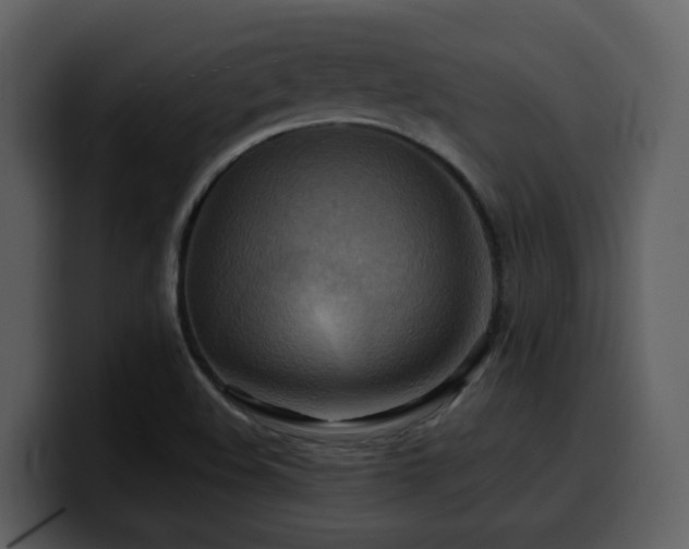 X0000100781508200806191251