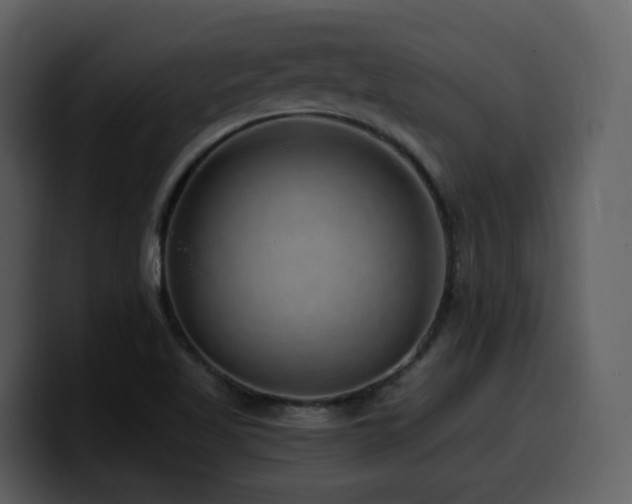 X0000100781509200806191251