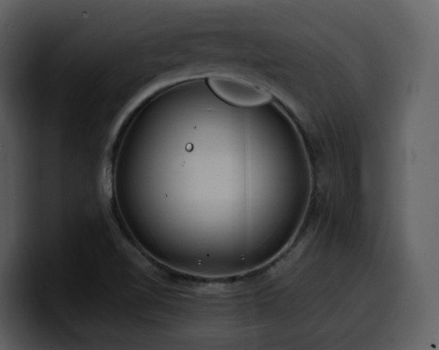 X0000100781510200806191251