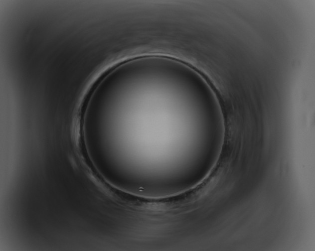 X0000100781511200806191251