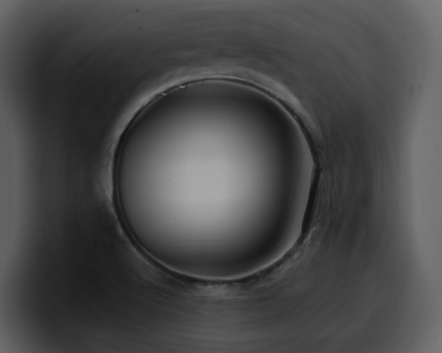 X0000100781512200806191251