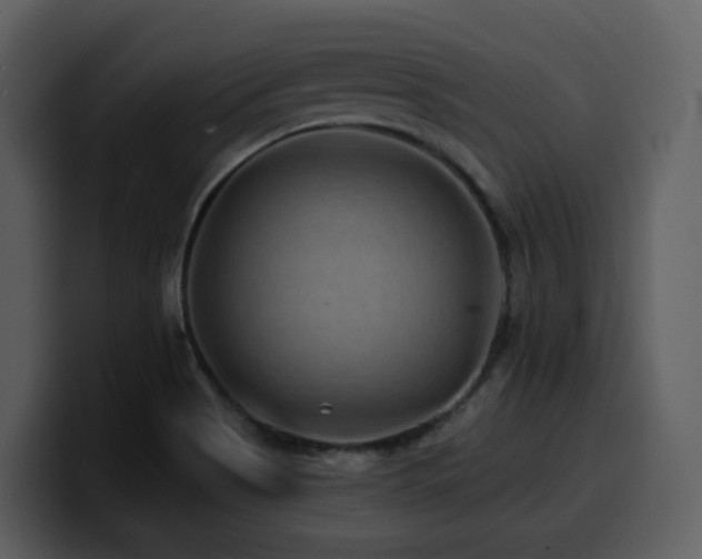 X0000100781513200806191251